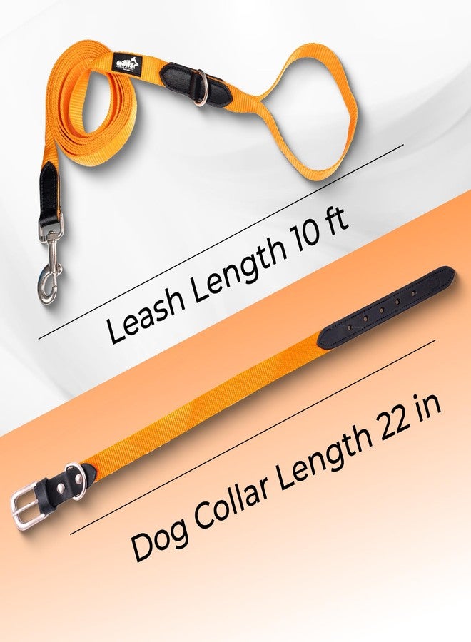 ADIL'S Adil’s Adjustable Plain Nylon with Leather Dog Collar & Leash Combo - Reinforced with Metal Buckle, 360° Swivel Hook, D-Ring & 10ft Leash for Small, Medium & Large Dogs (Orange, Large) - Image 2